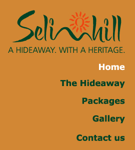 Selim Hill Website