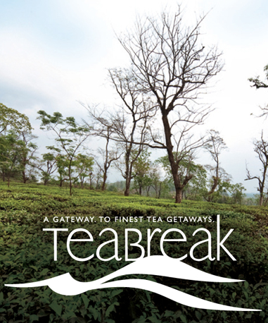 Tea Break Press Campaign