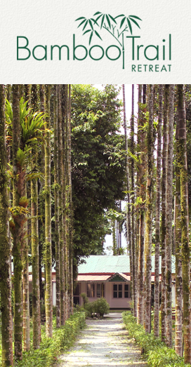 Bamboo Trail Retreat Website